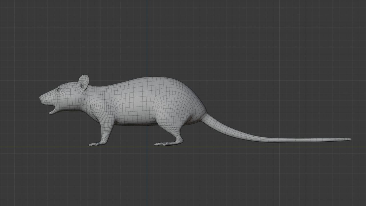 Rat_Topology1.jpg