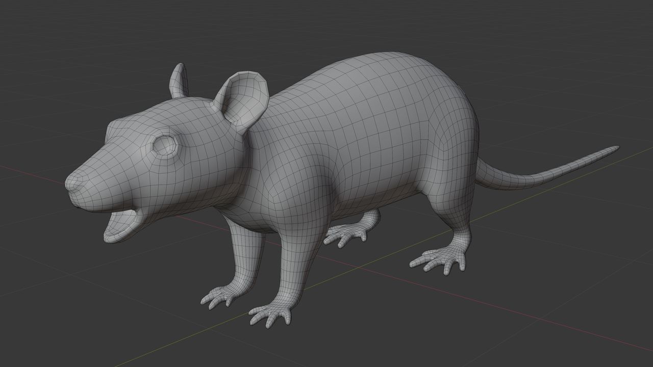 Rat_Topology2.jpg