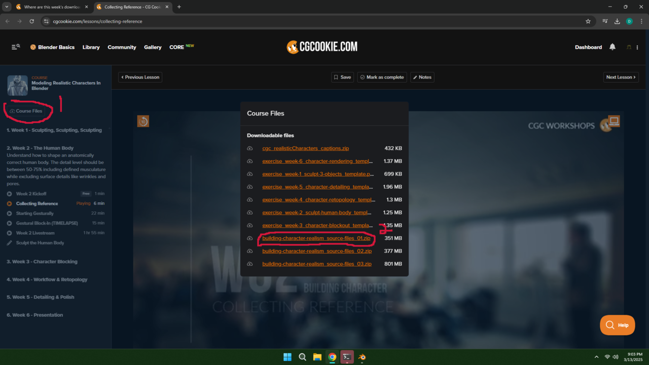 025-03-13 210309.png