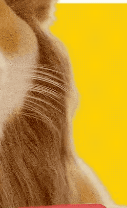 5-09-17 12_04_00.gif