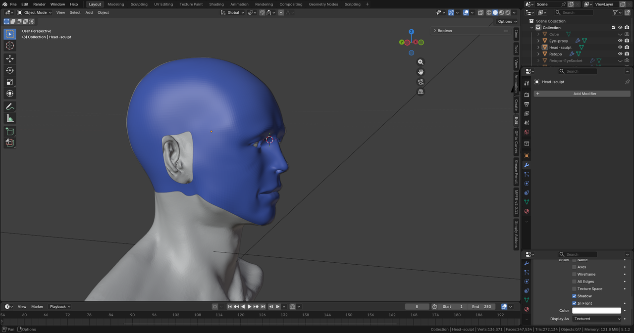 topology - scalp.png