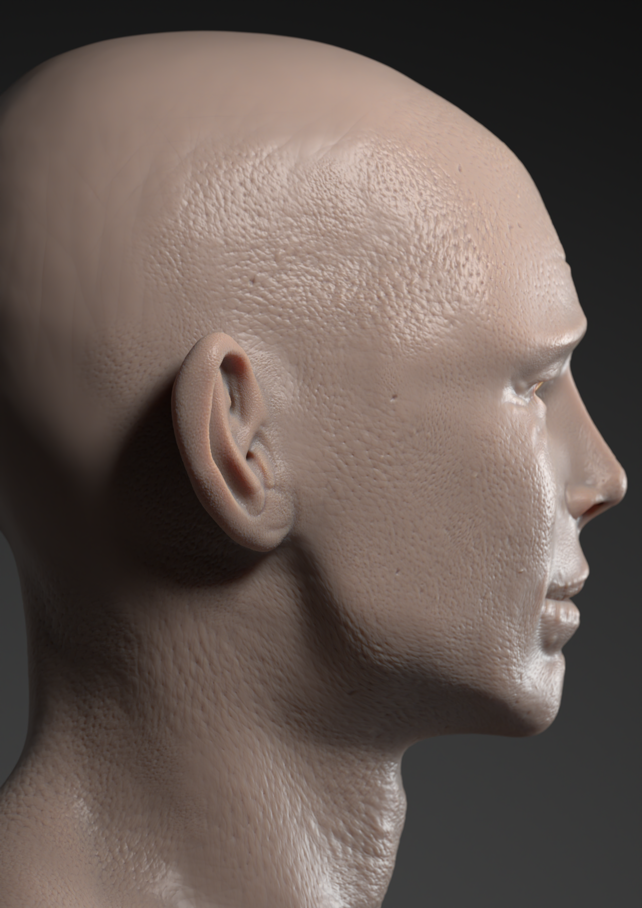 ght side profile.png