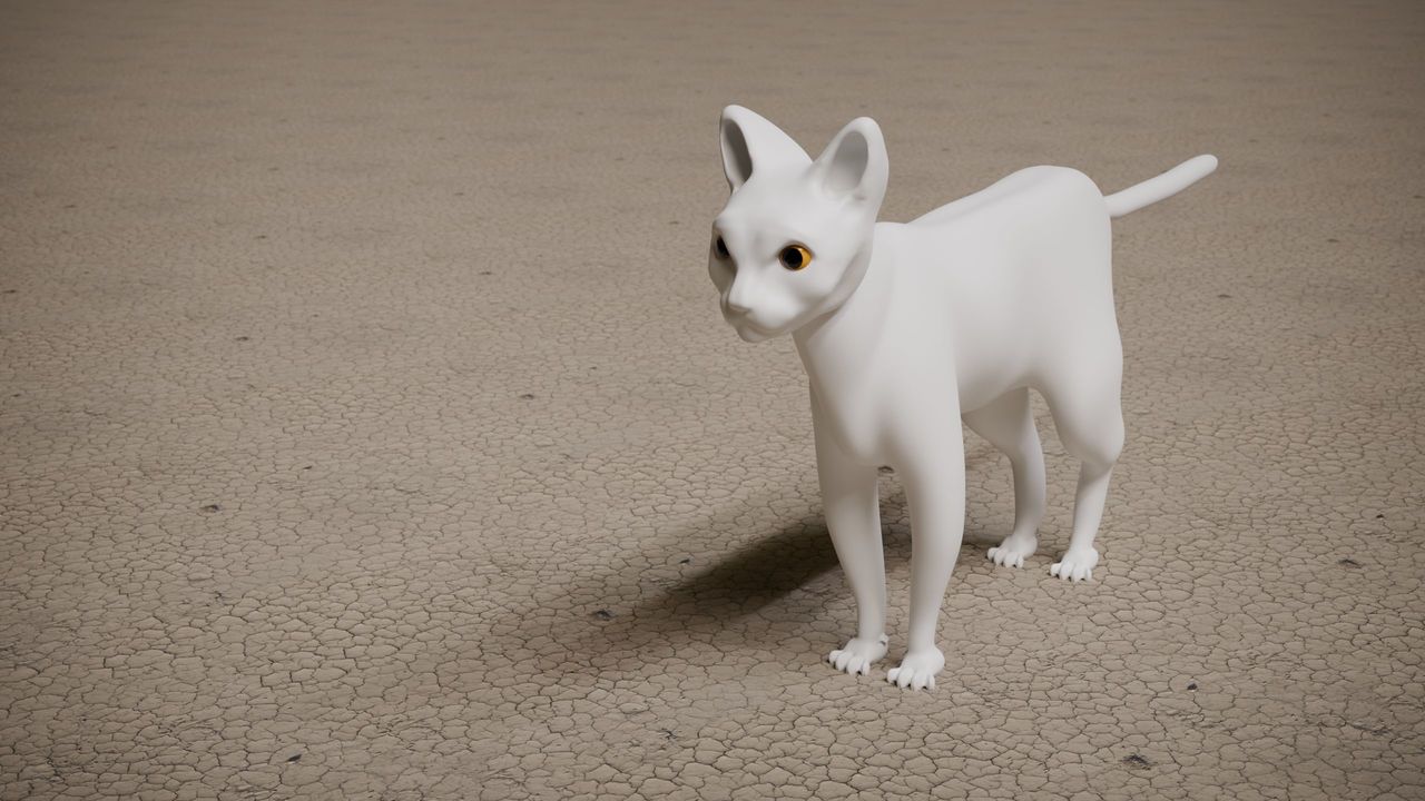 cat1.jpg