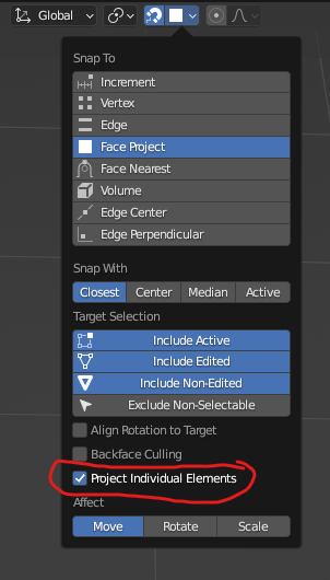 po Project Indi..png