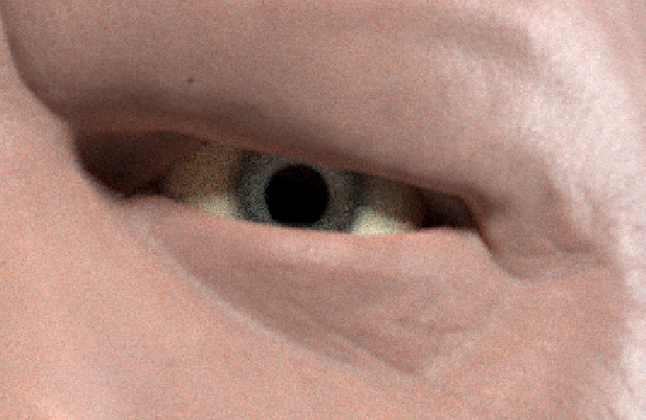 21 at 2.47.08 PM.png