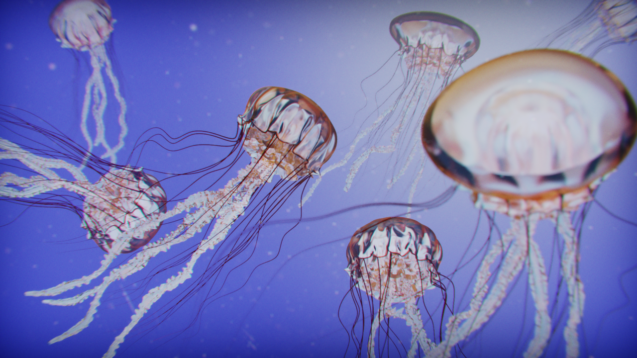 ellyFish Final 1.png