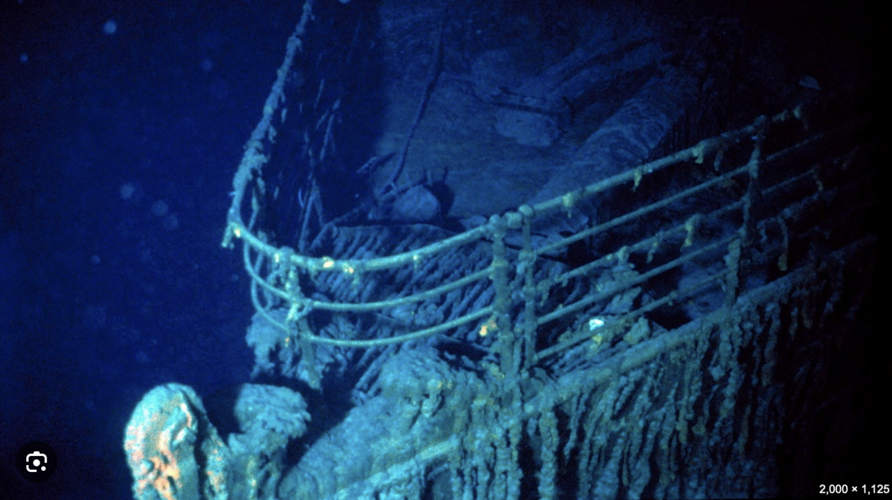 13 at 8.15.21 AM.png